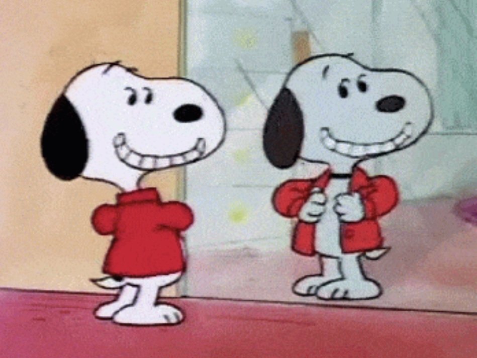 NickHunley1's tweet photo. What snoopy would look like from the front based on this reflection. https://t.co/eqGHLqIj8S
