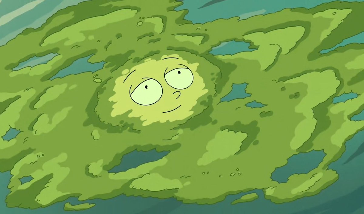 queer428008's tweet photo. he looks so happy as a plant honestly. he genuinely stood alone and broke the cycle of violence. he knows his own worth, and he spent the whole rest of the episode nourishing life. our mother nature morty <3 https://t.co/CvfCIpuXE6
