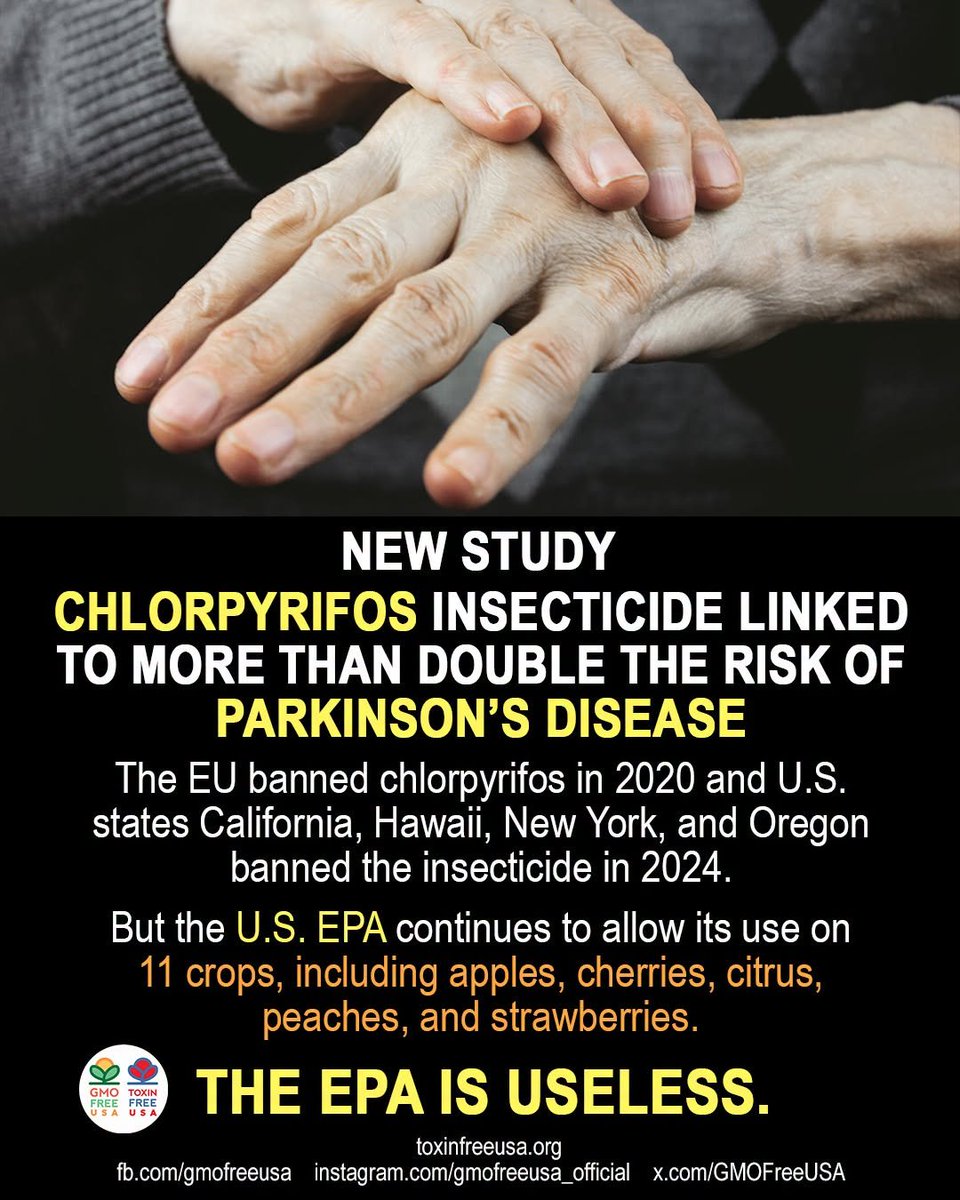 GMOFreeUSA's tweet photo. Study: Chlorpyrifos Insecticide Linked to More Than Double the Risk of Parkinson’s Disease. A widely used agricultural pesticide may pose a greater threat to brain health than previously recognized. Scientists at UCLA have linked long-term exposure to chlorpyrifos with a sharply increased risk of Parkinson’s disease. People exposed to the chemical near their homes were more than twice as likely to develop the condition. Laboratory studies showed that chlorpyrifos damages dopamine neurons and interferes with the brain’s ability to remove toxic protein buildup. https://t.co/dQO76mTNUd

The EU banned chlorpyrifos in 2020 and U.S. states California, Hawaii, New York, and Oregon banned the insecticide in 2024. Previous studies have also found that chlorpyrifos is neurotoxic and especially harmful to developing babies and children. But the U.S. EPA continues to allow its use on 11 crops, including those that children love to eat: apples, cherries, citrus, peaches, and strawberries. Eating organic is the best way to avoid consuming residues of this toxic insecticide.
