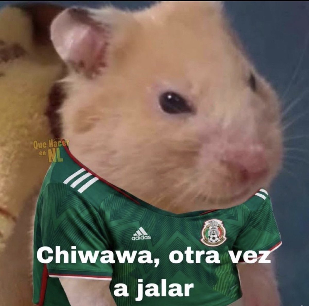Guarromantico_'s tweet photo. Mood: https://t.co/96Jh2WfPz4