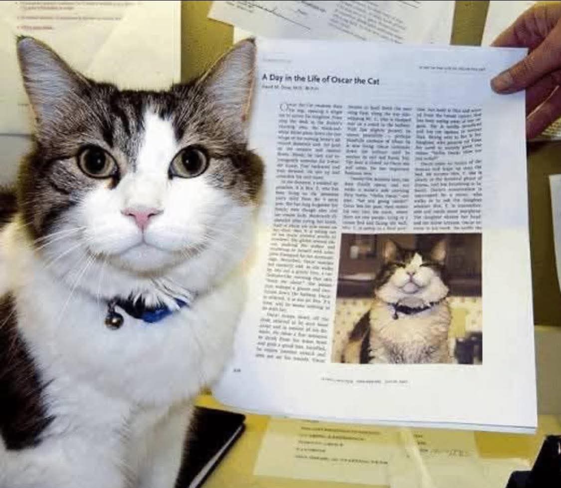 WolfofX's tweet photo. In 2007, a doctor wrote about a cat named Oscar who had developed a strange habit at a nursing home in Rhode Island.

Oscar was not known for being especially friendly. He usually kept to himself and rarely spent long periods with residents.

But every so often, he would quietly enter a room, jump onto a bed and curl up beside someone.

Then he would stay.

Hours later, that person would often die.

At first, staff thought it was coincidence. But as the pattern repeated, they began paying attention. When Oscar refused to leave a patient's side, nurses sometimes called the family and told them it might be time to come and say goodbye.

Geriatrician Dr. David Dosa documented Oscar's behavior in the New England Journal of Medicine. By then, the cat had already been observed accompanying more than 25 patients during their final hours.

Later accounts linked Oscar to around 100 deaths.

No one ever proved exactly what he was detecting. Some suggested he could smell subtle chemical changes in the body. Others believed he noticed tiny changes in movement or behavior invisible to humans.

Oscar died in 2022 at the age of 17.

For years, in a quiet nursing home, a cat who usually preferred to be alone seemed to know exactly when someone should not have to die that way