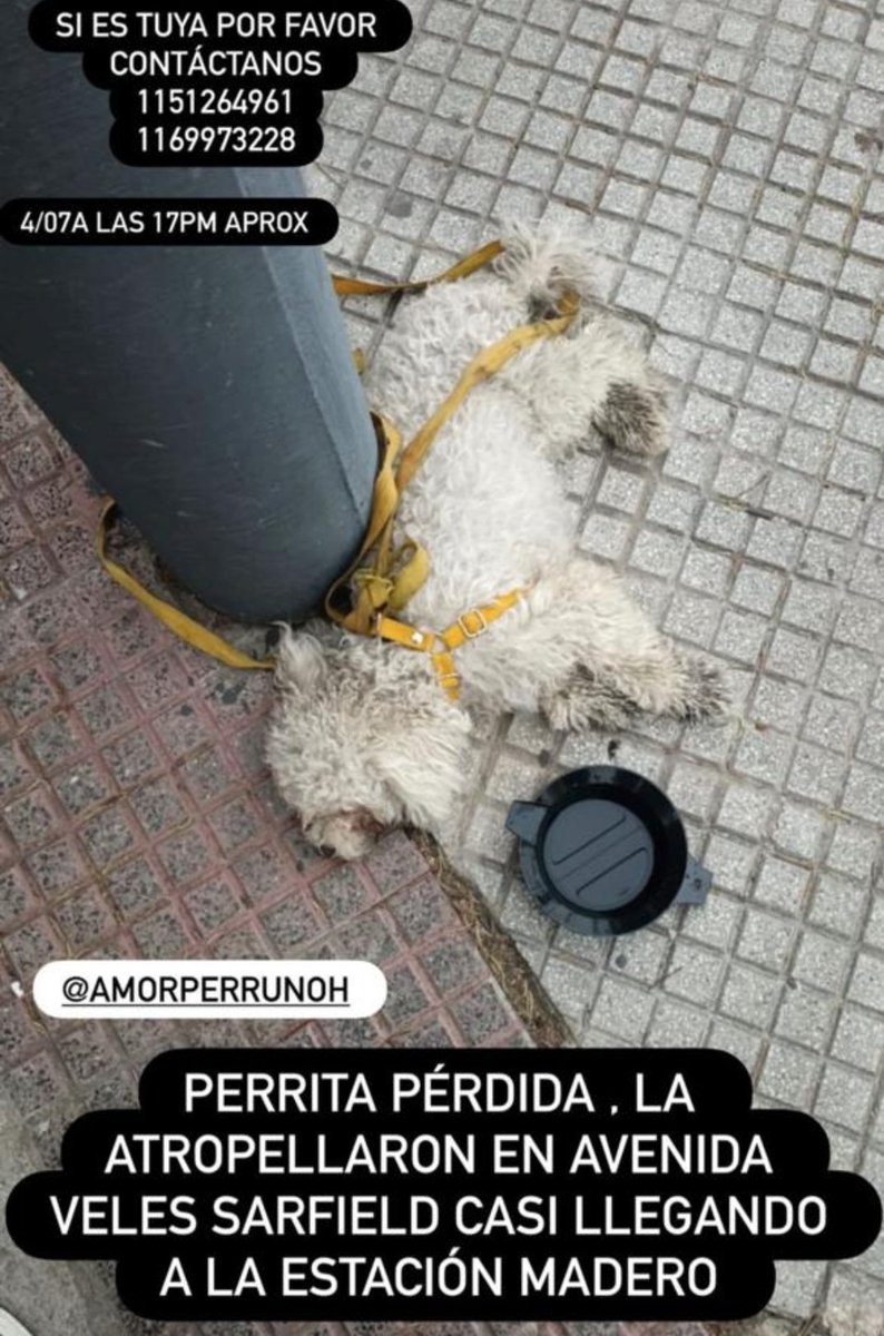 paraellostodo's tweet photo. Villa Madero🙏🏻🙏🏻🙏🏻 https://t.co/I1W2MaHchr