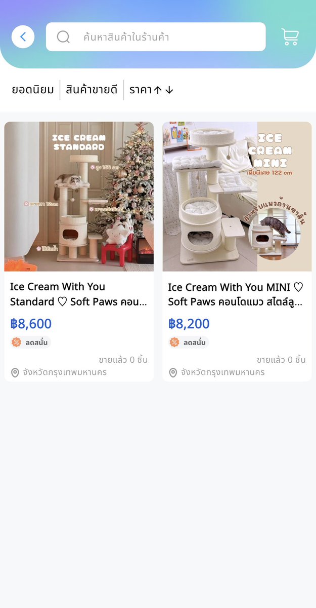 Soft Paws tweet media