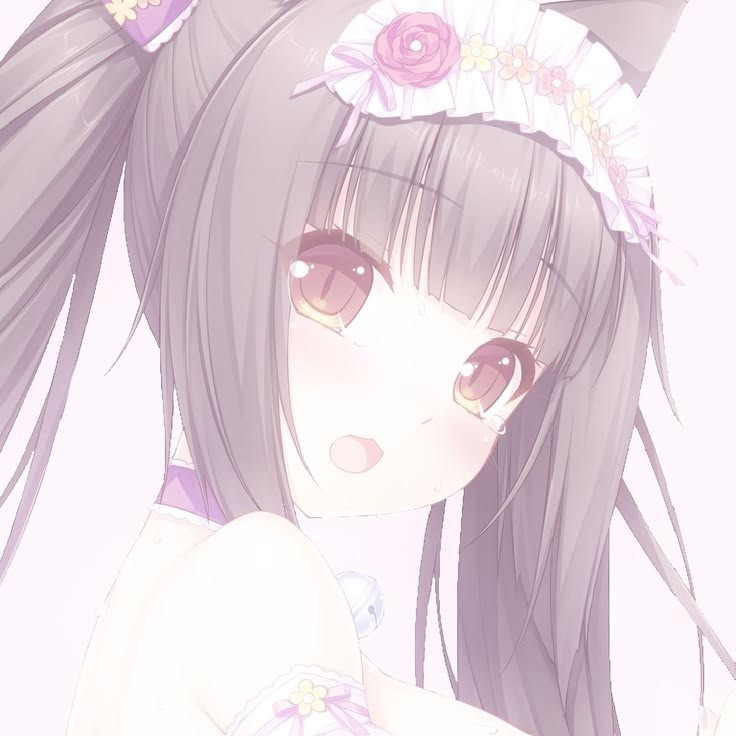 ꒰ঌ xandr ୭ ᵎᵎ 🍭 tweet media