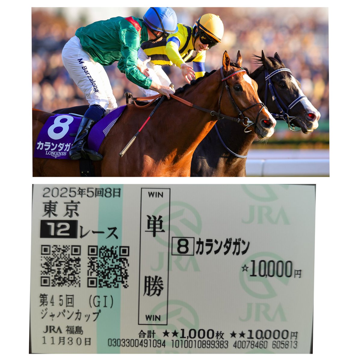 hatoDDP's tweet photo. カランダガン
今年も日本に来てほしい
でも去年のオッズじゃ買えないだろうな https://t.co/hz5MOlHNow