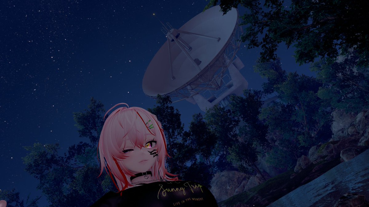 マグロイヌ_VR tweet media