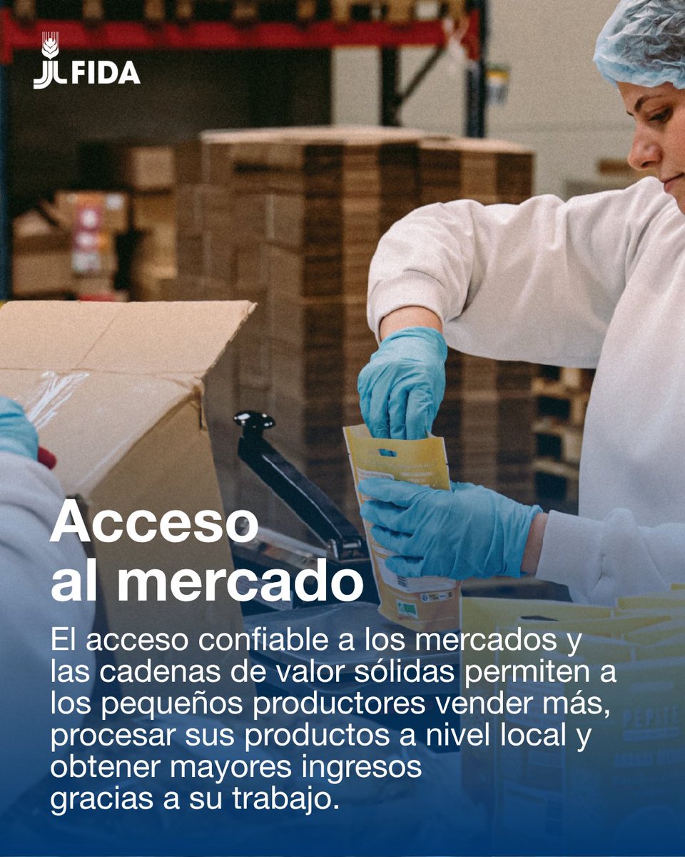 IFADespanol's tweet photo. #DiaMundialDelDesarrolloRural, hoy celebramos las zonas rurales: espacios de oportunidad. Cuando prosperan, las sociedades son más estables y las economías más resilientes.

Por eso, el FIDA invierte en el primer kilómetro de los sistemas alimentarios.#FinanciarElPrimerKilometro