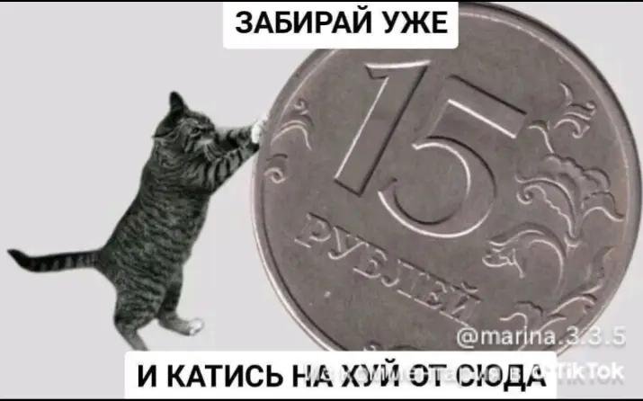 bubka2276's tweet photo. @BababakunGaza @CleanYoutu94990 @shoom2005 Узколобый кацап-дегенерат путриотит сидя заграницей. Идейный руzzкамирец или на зарплате? https://t.co/NS2YAQnYfm