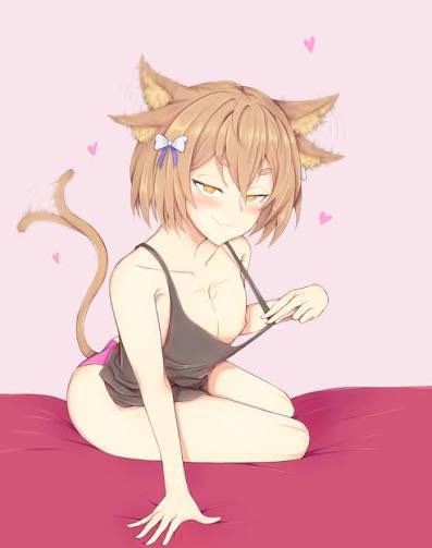 FelixGatust's tweet photo. @Charafriskloves Estou aguardando ent hihi meowww~ https://t.co/u1O2zMAxjU