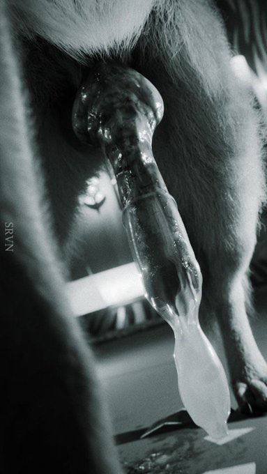 rose_roser1ca's tweet photo. DogS aren’t pet they are family 💦🍆leSS people more dogS🐶💦😜DM on Telegram👇

🔗 https://t.co/ZnKR1W2suw

ASk for menu

#beaStiality #zoophilia
#dogcontent #dogmom #doglover #zoocontent #zoomom #zooareverified https://t.co/AxeJd5Kqn2