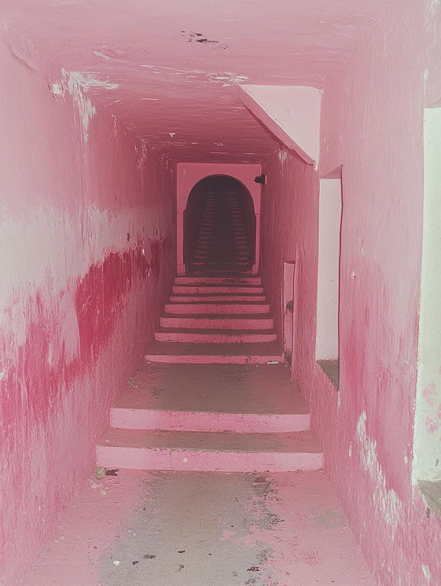 liminal__dreams tweet picture