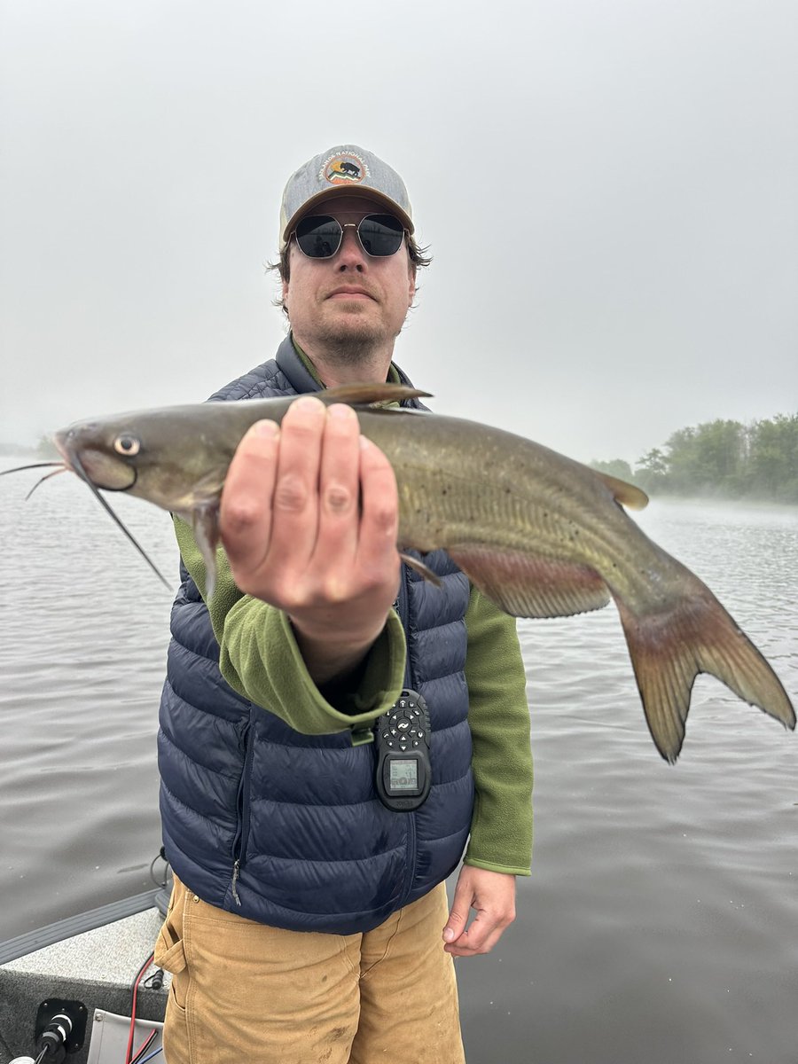 boulderlakefish's tweet photo. Never know what you’re gonna find on the river. #riverfishing #fishing #walleye #catfish #minnesota https://t.co/CF3xxSlN3j