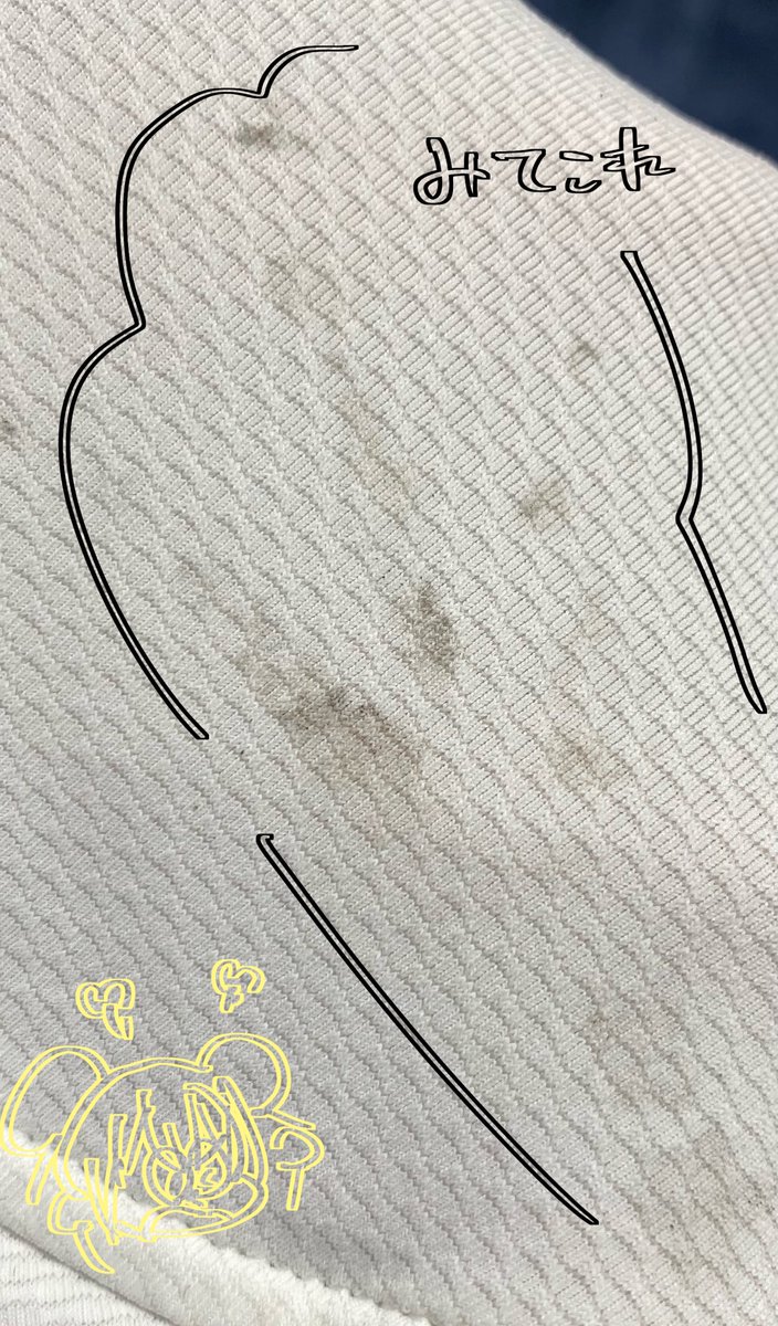 Meteor_ast6's tweet photo. 配信きてくれてありが〜と🫪

メオを馬鹿にしたカラス　許さないからな

また来てネ！💛（これhリスナーに向けて） https://t.co/K3TVusbCw3