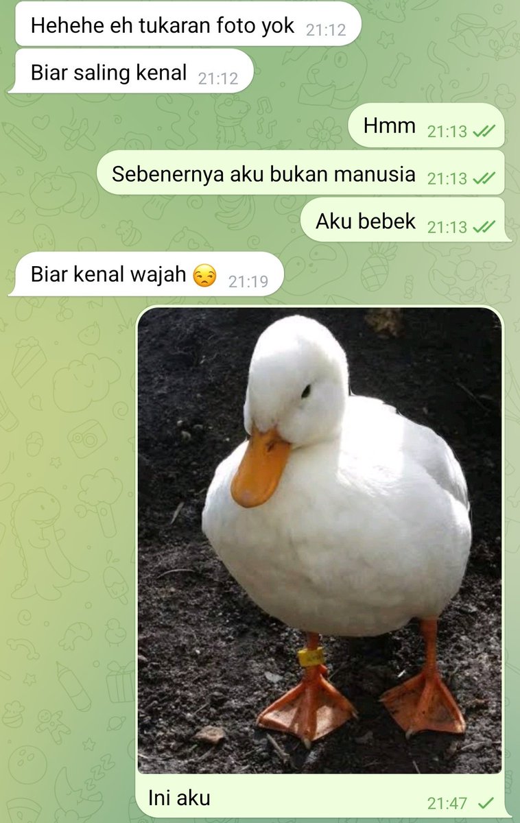 apochrypal's tweet photo. Pernahnya gini sih, tiba2 minta tukeran foto.. padahal aku udah terbuka sama jati diri aku yang asli, kecewa ringan karna gak dibales lagi 😔 https://t.co/IEQ7mzoUDZ