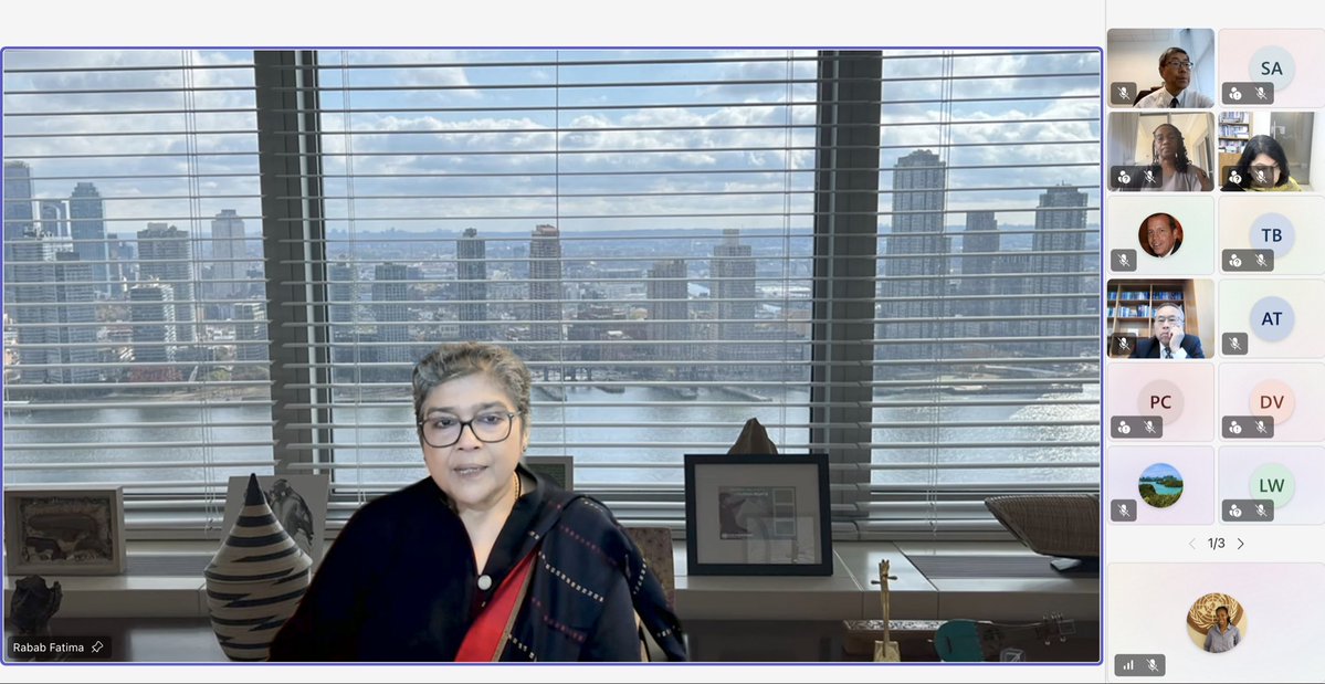 USGRabab_UN's tweet photo. Pleased to join @UNDESA USG Li in welcoming distinguished experts appointed to #MVI Independent Expert Advisory Panel. Their work will be vital to ensuring #MVI remains rigorous, credible &amp; impactful. @UNOHRLLS will continue advocating for its uptake w/ dev partners, IFIs &amp; MDBs. https://t.co/GIHehiIZYP