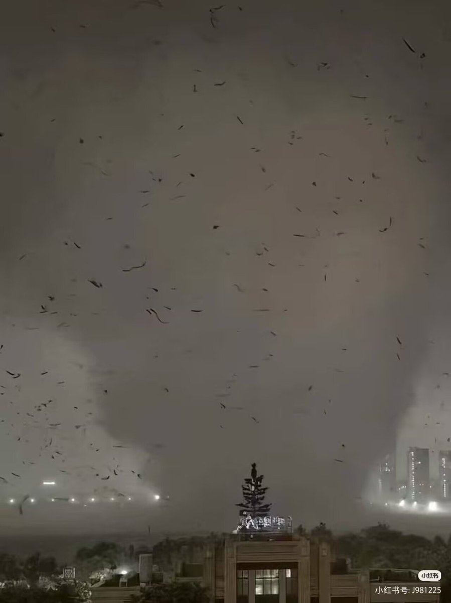 Sekai_WX's tweet photo. The river city of Huanggang, which is just east of Wuhan in China, was hit by a strong, deadly tornado 2 hours ago.

Some people I know who are familiar with the area say that there are "2 fatalities and hundreds injured."

Photo not mine, taken from a Chinese social media site. https://t.co/XgxY134PHp