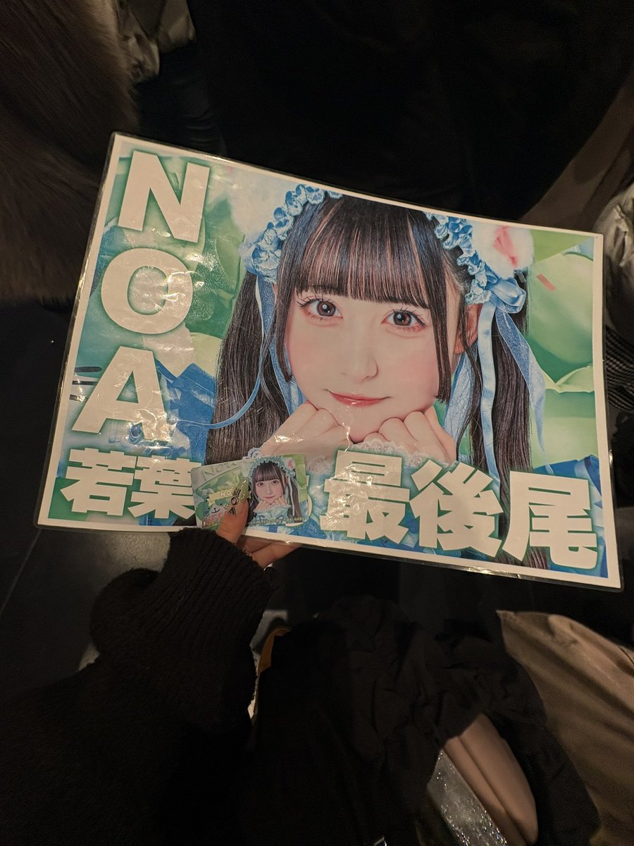 pj___y7's tweet photo. 全ての若葉のあに感謝。産まれてきてくれてありがとう愛してるよ。  #のあへのあい  #のあにゃんず https://t.co/uGKH5NoiP0