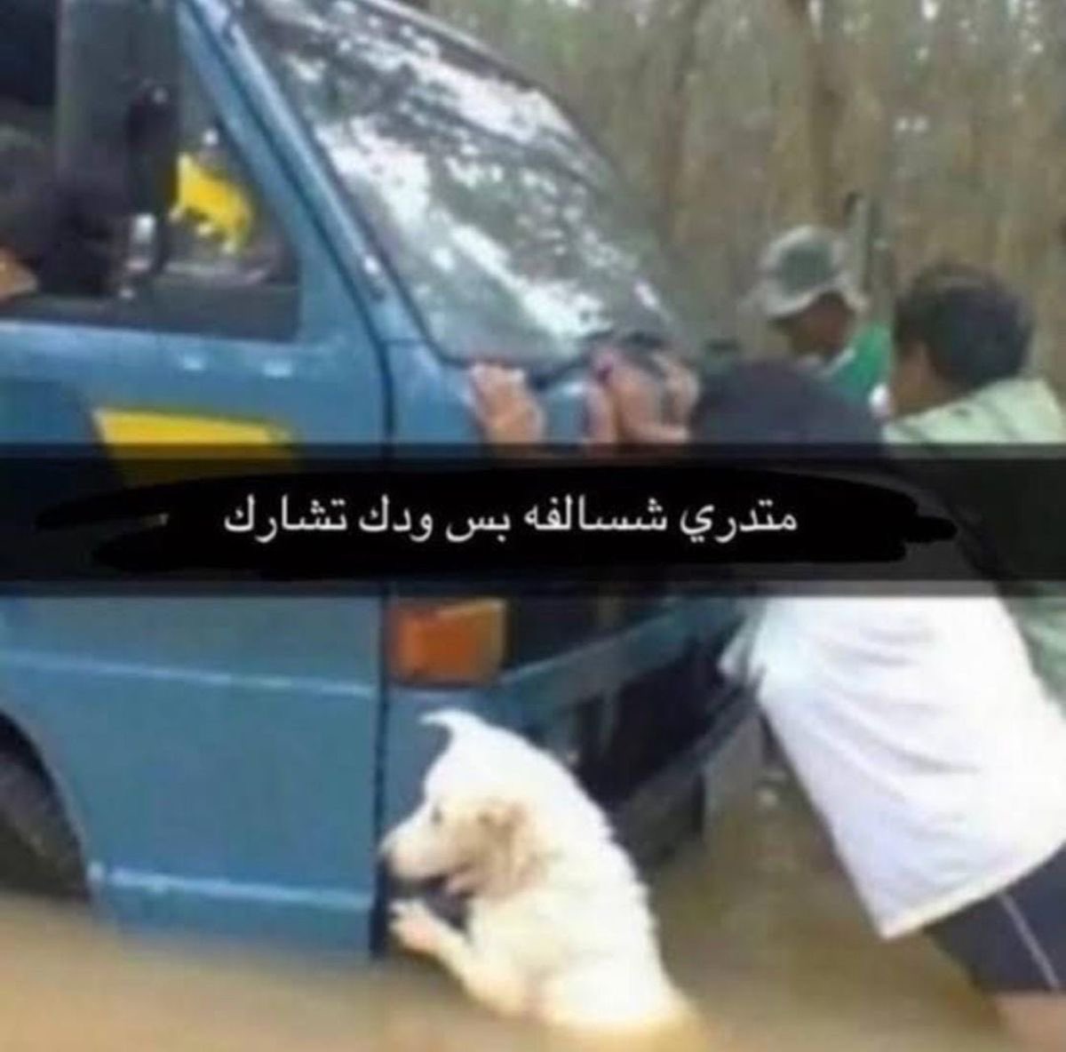 q_7ux's tweet photo. فان المصننه ايبوكي طلعو تاريخ داملا الاسود والابيض عشان يمسكون عليها حاجه بالاخير مالقو شي راحو للفوتوشوبات واشياء مالها رابط ولا علاقة كملو اهم شي مقتنعين 😂! https://t.co/WKxNBR8qrm