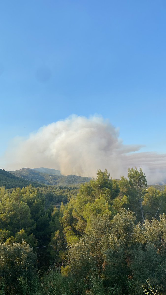 jotavsegui's tweet photo. 19:45 #IFSentmenat desde Castellar del Vallès https://t.co/iNOtC6hrnm