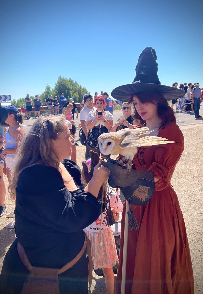 irenevalmore's tweet photo. Superviviente de la caza de brujas en Trasmoz 🙋🏻‍♀️

📷 EM
🧹 Feria de brujería, magia y plantas medicinales de Trasmoz 🧹
#VilladeTrasmoz https://t.co/Ws1IrGd13v