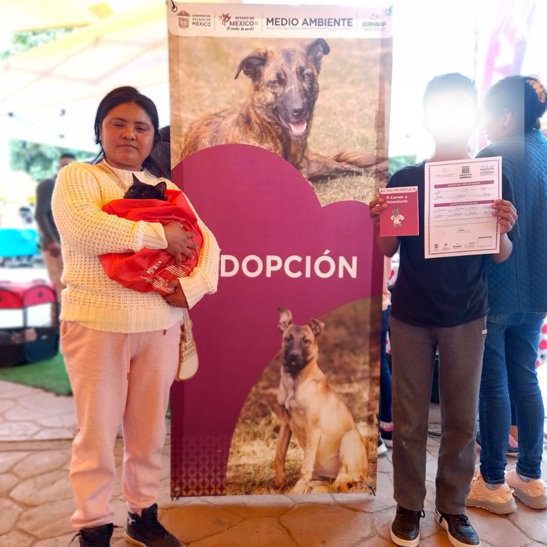 BienAnimalEdMex's tweet photo. Nos fuimos al Festival de Cactus🌵en #Xonacatlán.
19 adopciones en un solo fin de semana.
De viernes a domingo, Xonacatlán demostró que tiene el corazón más grande.
Gracias a cada familia que les dio una #SegundaOportunidad a estos ángeles de cuatro patas. ¡Cambiamos su destino! https://t.co/Rue0Zq5ly7