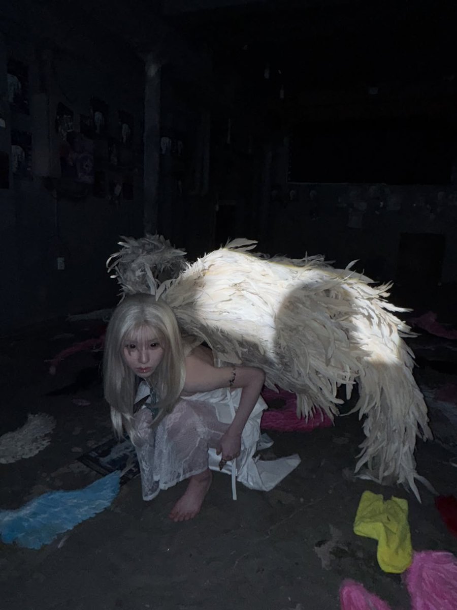 DouzeLunes's tweet photo. She's a wild animal that's been captured and i being sold https://t.co/NJXRWtrPfI