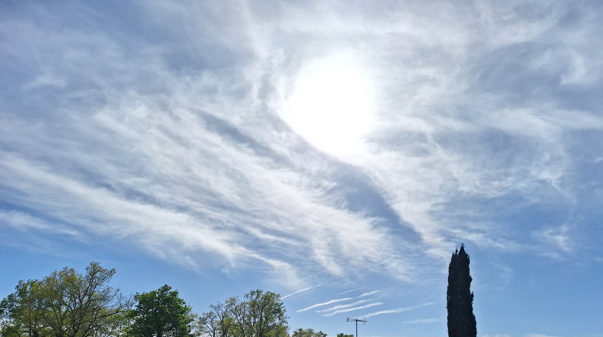 SoleilLibreFR's tweet photo. Ce n’est pas un ciel, ça. 🌫️

En tout cas, pas naturel. 🧏‍♂️

#Chemtrails #SRM #Ciel #GéoIngénierie https://t.co/Xp8jMmBR18
