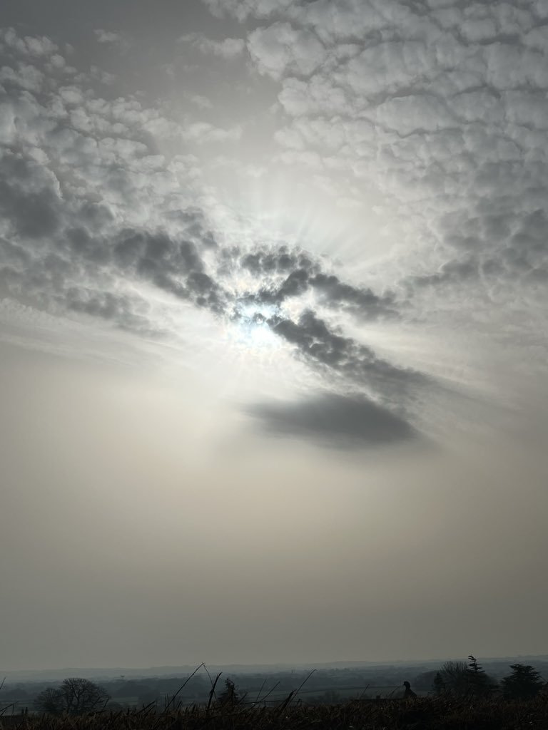SoleilLibreFR's tweet photo. Ce n’est pas un ciel, ça. 🌫️

En tout cas, pas naturel. 🧏‍♂️

#Chemtrails #SRM #Ciel #GéoIngénierie https://t.co/Xp8jMmBR18