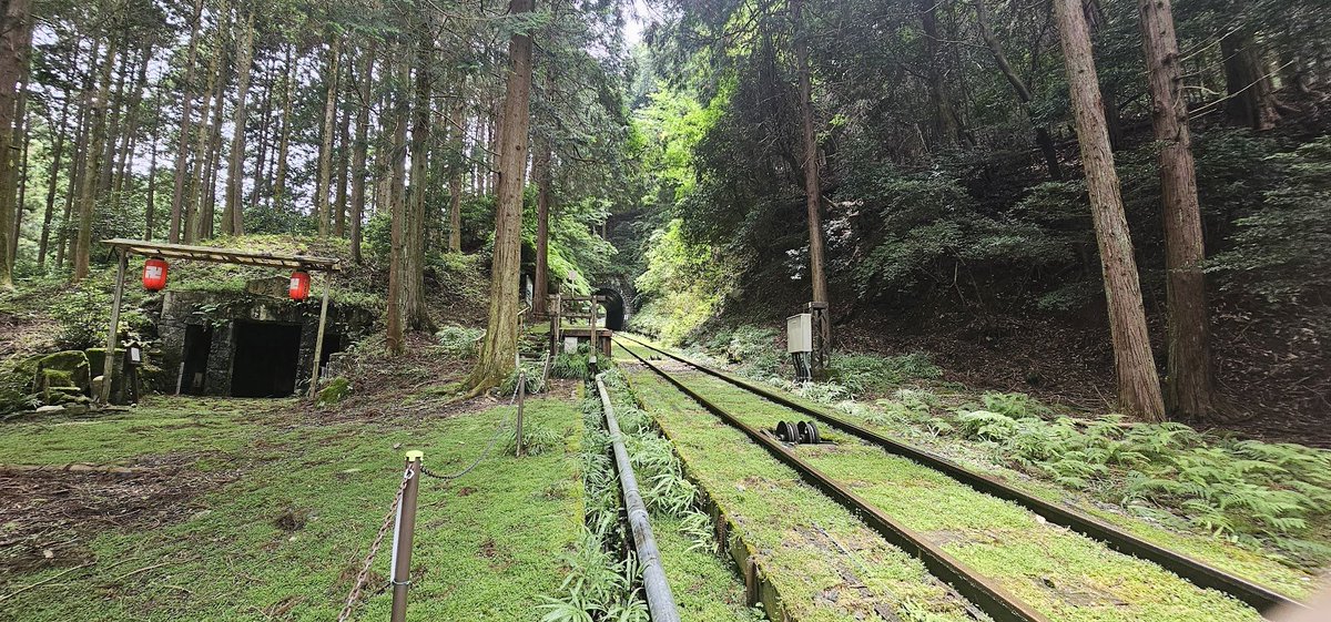 yama31183's tweet photo. 比叡山にある「ほうらい丘」駅。通常は停車しない駅。駅員さんに下車したい旨を伝えておくと運転手さんに伝言され停めてくれる。帰りはホームのインターホンで列車を止める。
降りるときも乗るときも、他の乗客から「なんだアイツ？正気か…！？」みたいな目で見られる。
＃ほうらい丘　＃坂本ケーブル https://t.co/qwAhuXNogD