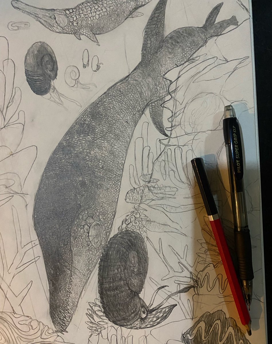 Microraptorreal's tweet photo. Progress so far, bleh https://t.co/BAqG7AkFI2