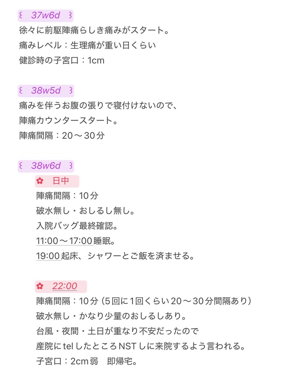 みみみ🥑39w→0m tweet media