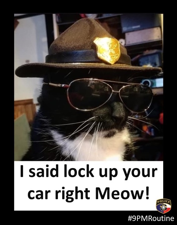 SelmaPDTX's tweet photo. Right Meow!!!... Meow!
#LockUpandLightsOn #9PMRoutine https://t.co/phXT2ZA8AC