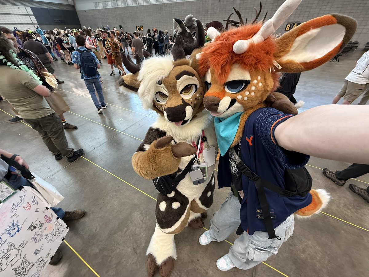flamethefawn's tweet photo. now that anthrocon is over, reply with pictures u got with me! https://t.co/PNN1QObP1Z