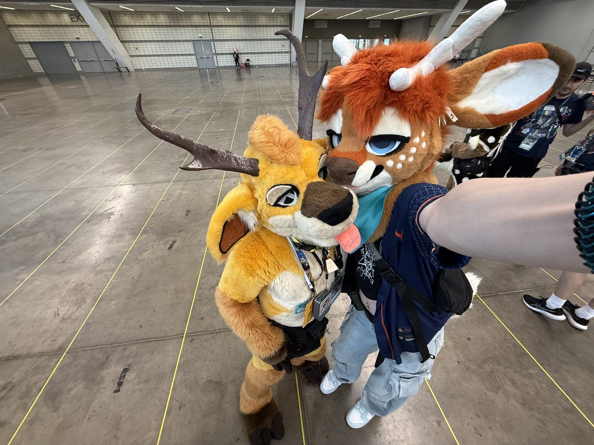 flamethefawn's tweet photo. now that anthrocon is over, reply with pictures u got with me! https://t.co/PNN1QObP1Z