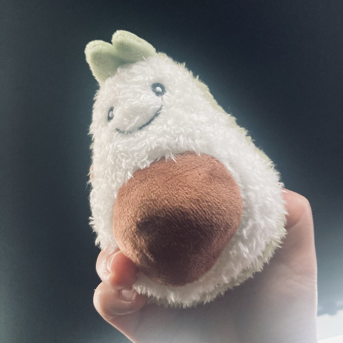 0ccak's tweet photo. アボカドのぬいぐるみを手に入れた https://t.co/CDvQssPpVX