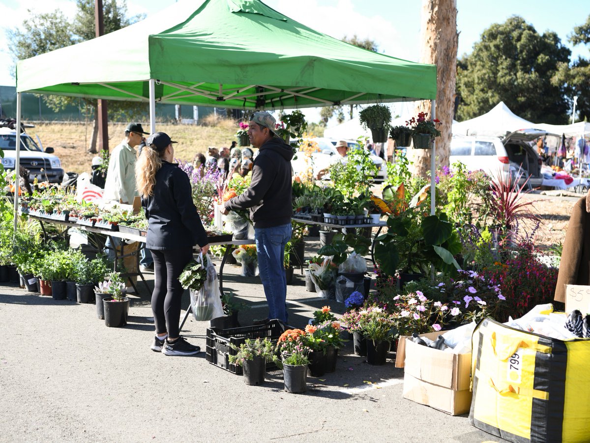 OhloneCollege's tweet photo. 🛍️ Summer is the time to shop! Join our Ohlone College Flea Market this Saturday, July 11 from 9am-2pm, to find goods from local vendors, food vendors, and more. See you there! https://t.co/ybkydLeLz8