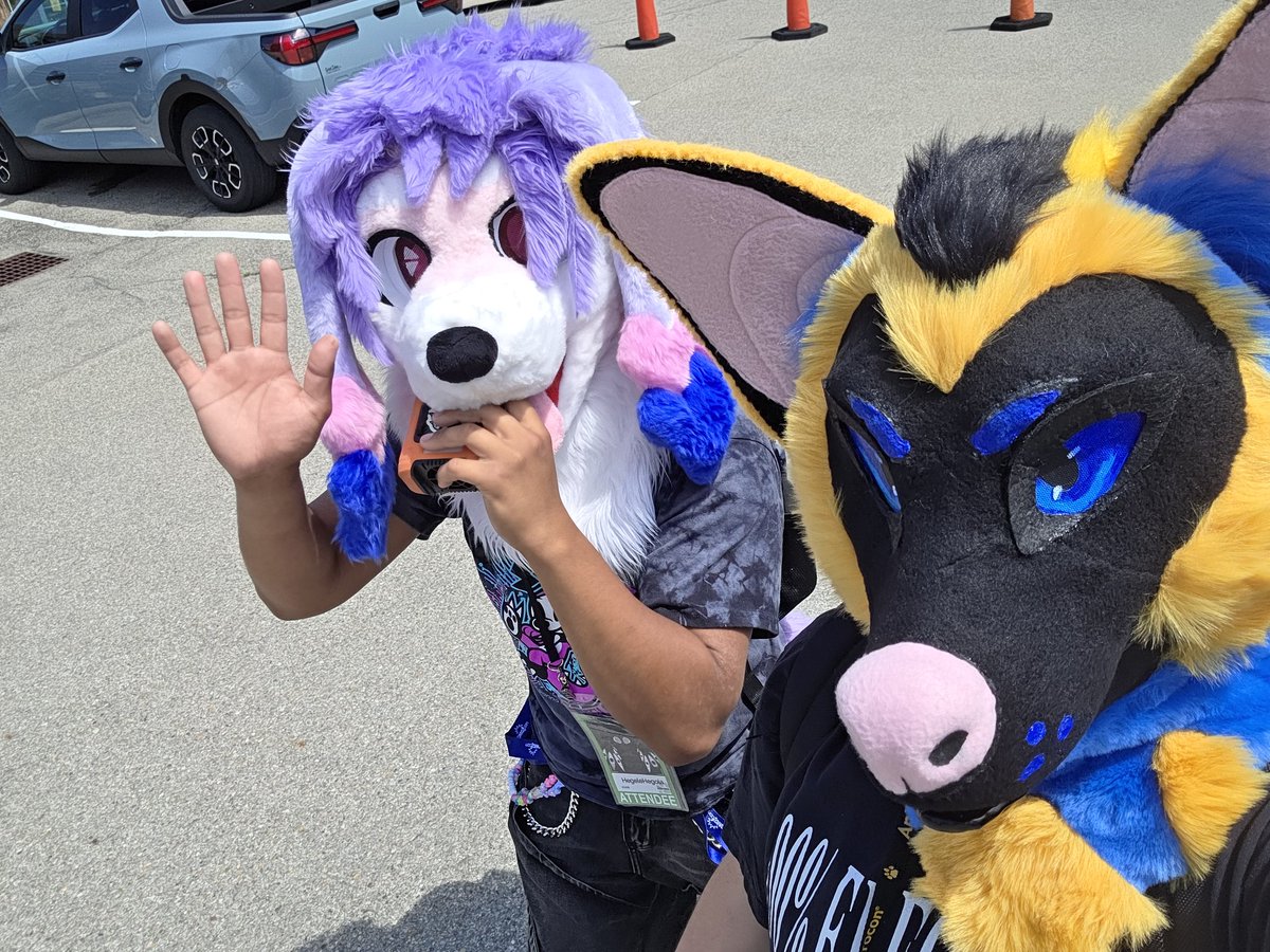 sintsvega's tweet photo. Anthrocon as my first furry convention was wild feat @Yahaiya201 https://t.co/GdThozrrtY