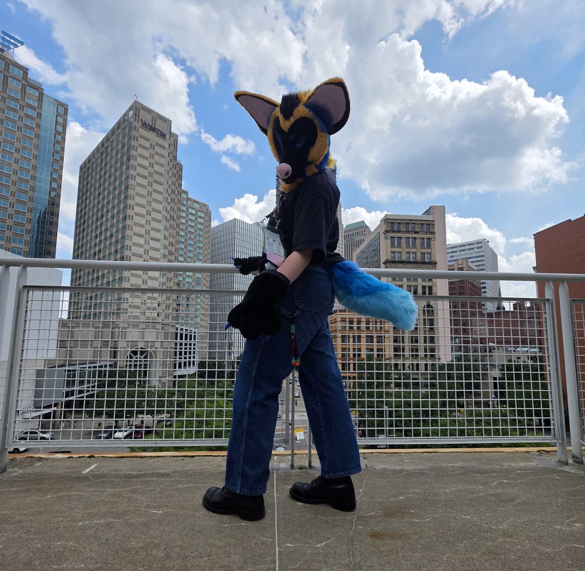 sintsvega's tweet photo. Anthrocon as my first furry convention was wild feat @Yahaiya201 https://t.co/GdThozrrtY