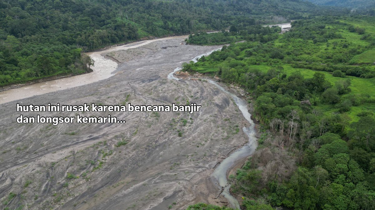 insidefolkative's tweet photo. Jerhemy Owen mengumumkan rencana penanaman lebih dari 150.000 pohon di Aceh, Sumatra, bersama WWF Indonesia dan masyarakat setempat. Program ini dilakukan untuk memulihkan kawasan hutan yang terdampak banjir besar sekitar tujuh bulan lalu, yang menyebabkan hilangnya tutupan hutan sekaligus mengancam habitat gajah Sumatra.

Melalui penanaman pohon agroforestri, proyek tersebut diharapkan tidak hanya mendukung penghijauan dan restorasi ekosistem, tetapi juga memberikan manfaat ekonomi bagi masyarakat sekitar agar kawasan hutan dapat kembali terjaga secara berkelanjutan.