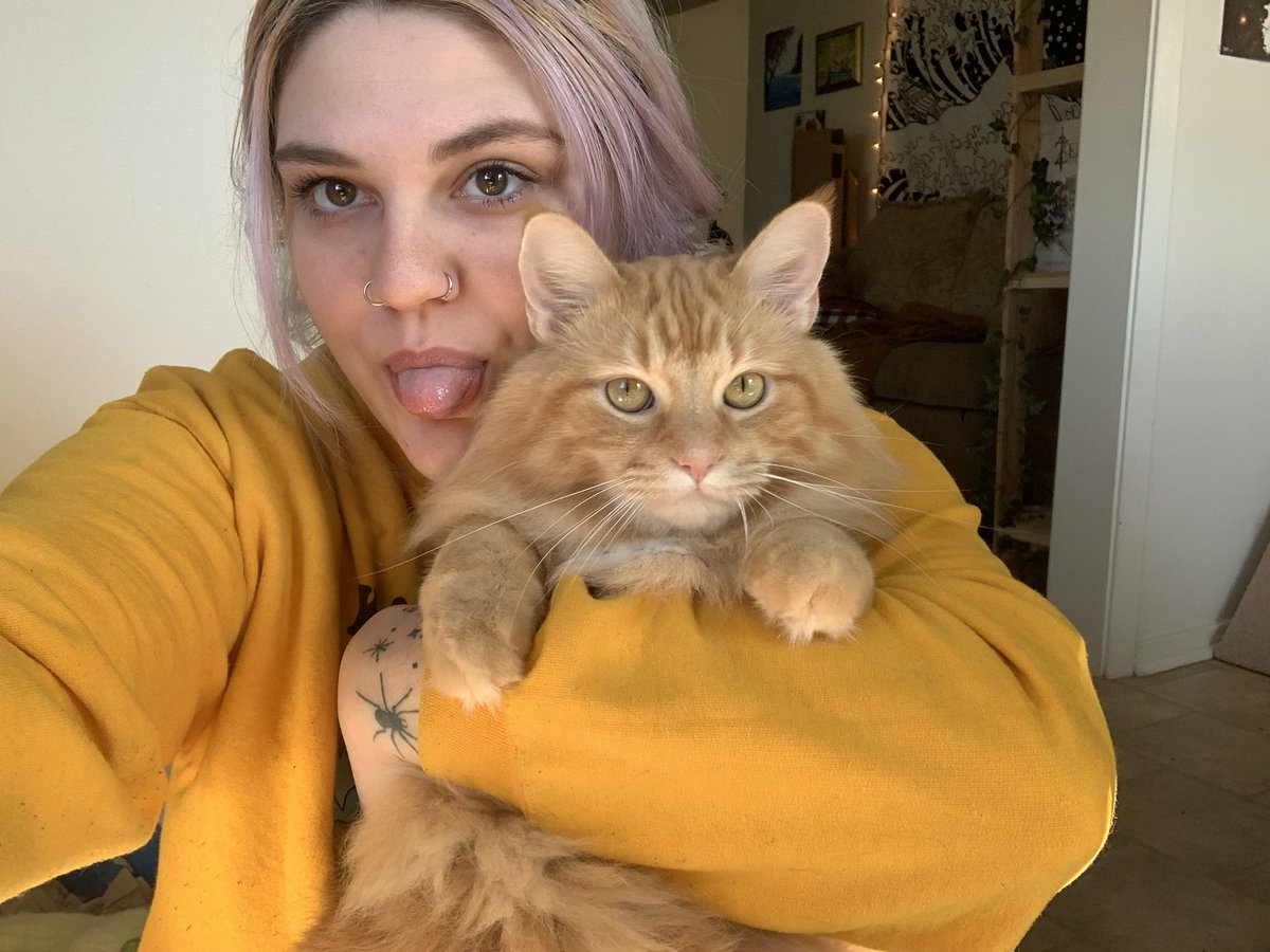 Early0nset's tweet photo. my anti suicide cat I got at 18 https://t.co/HTGSkpxD6N