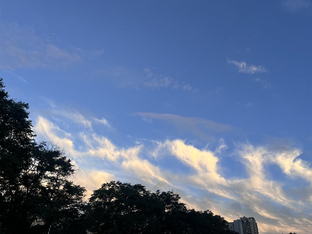 shutong0416's tweet photo. (^з^)-☆🧡 https://t.co/JCxi22tDfE
