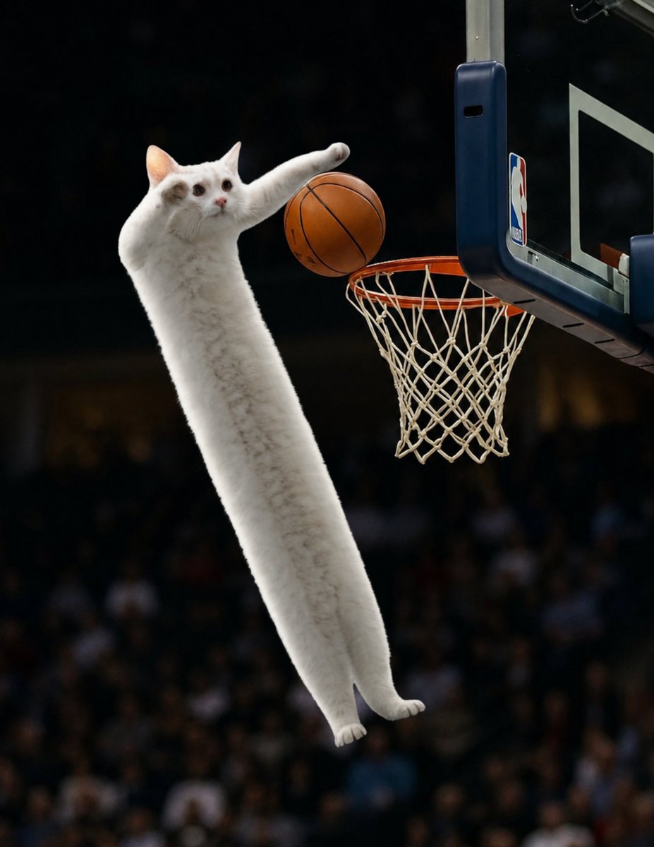 longcatonx's tweet photo. Anyone who doesn't know me $LONGCAT legendary cat meme. https://t.co/QAszXyXbqH