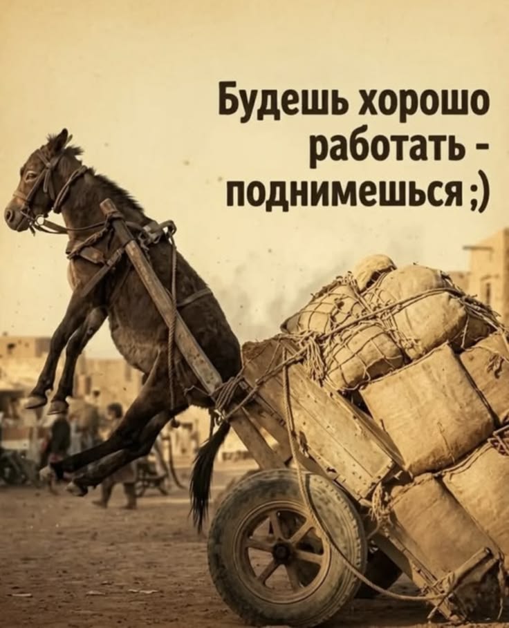 One_Red_Monarch's tweet photo. @doma_s_soba4koj Отправьте ему ☝🏻😎 https://t.co/B58ZeLFyiW