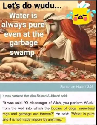 SaheL Ahmed tweet media