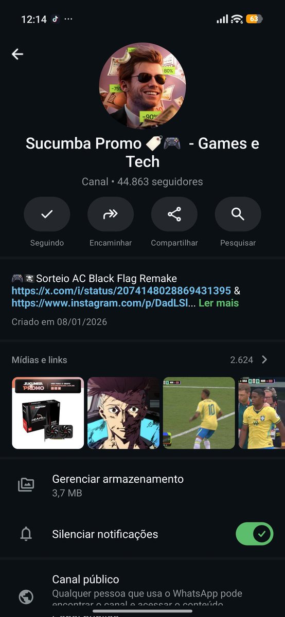 jojo987x's tweet photo. @SucumbaGames Consegui comprar gift card com desconto por causa de vcs, vlw https://t.co/dvd0SCMA4y