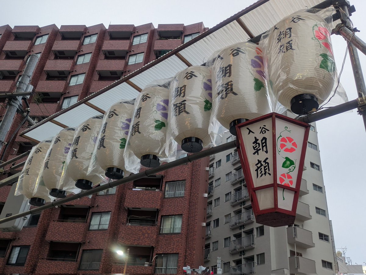 non1non4's tweet photo. 入谷の朝顔市に行ってきた😊
元気な朝顔を選んで貰って、一鉢お買上げ～ https://t.co/0yG7zGYHBY