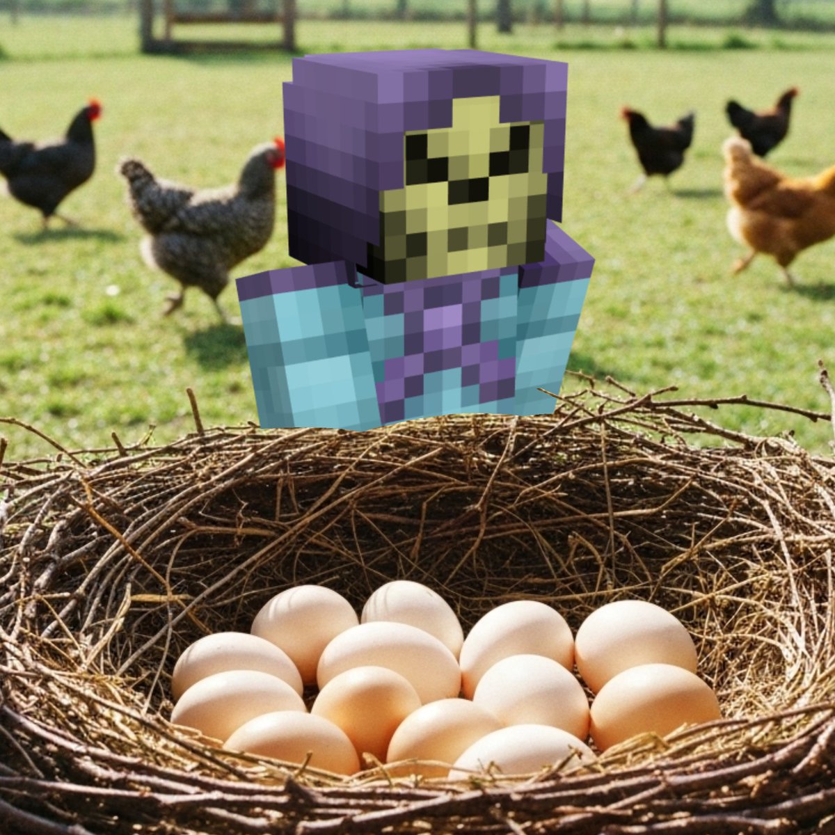 dayswodeathduo's tweet photo. 113 days

The custody of Chayanne and Lullah were given to Philza Minecraft. Due to the loss of the eggs, MissaSinf choosed to not make the mistake again and stole various eggs from a farm. Now, he doesn't understand why they've turned into chicks, but he kept them all anyway. https://t.co/E5gQYStcr8
