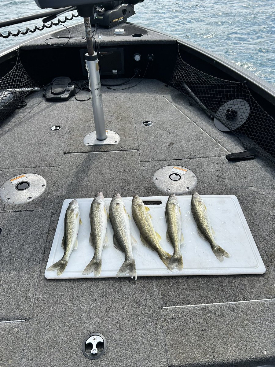 Rick5895's tweet photo. 10 days post surgery, felt great to get back on the river!!! #StClairRiver #walleye https://t.co/s9IMTA0M1t