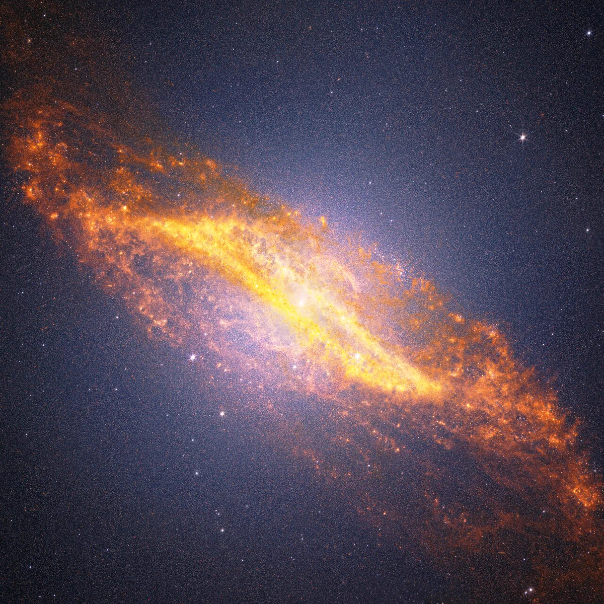 A diagonal image of the galaxy Centaurus A stretches from the upper left to the lower right against a deep black background filled with countless tiny orange, blue, and white points of light. The galaxy is brightest at its centre with a white glowing core. A broad band of golden-orange dust cuts across the middle of the galaxy, forming a distinctive parallelogram shape. The dust in this feature is richly textured, with mottled patches, bright knots, and intricate filaments throughout. Just above the centre, delicate peach-coloured ribbons trace an S-shaped structure. Rather than appearing smooth, the galaxy has a finely speckled texture created by millions of individually resolved stars, which fill the central regions and extend into the surrounding glow. The galaxy’s outer edges dissolve into diffuse, cloud-like plumes with feathery textures that stretch beyond the dust lane. Against the surrounding darkness, several bright foreground stars display Webb’s distinctive diffraction spike