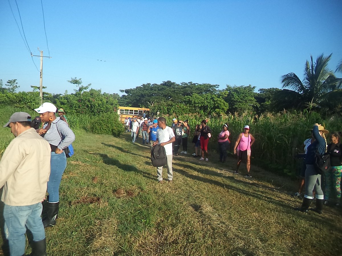geiacuba's tweet photo. El bloqueo nos limita, pero no nos detiene. Esta finca es una muestra de que, con trabajo colectivo, podemos vencer las dificultades.
Gracias a todos los que participaron. 
🇨🇺 Sembrar es Resistir. Producir es Vencer.
#AlimentariaPorCuba https://t.co/TSgcSFlRM5